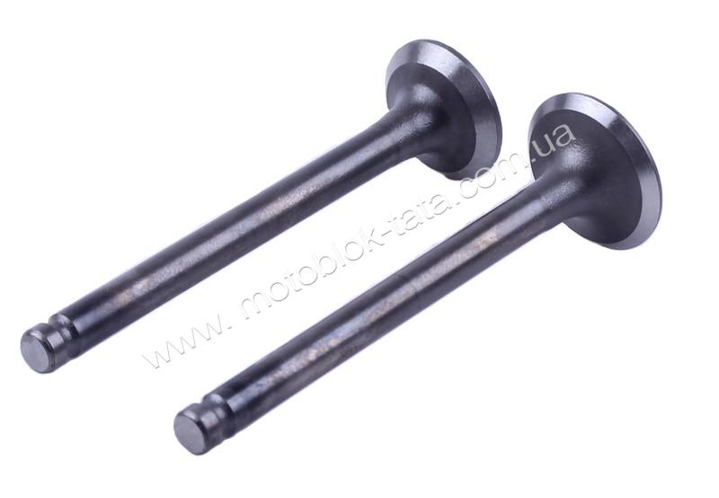 Клапани TT AGRO MOTO на бензиновий двигун 50CC4T, к-т 2 шт.