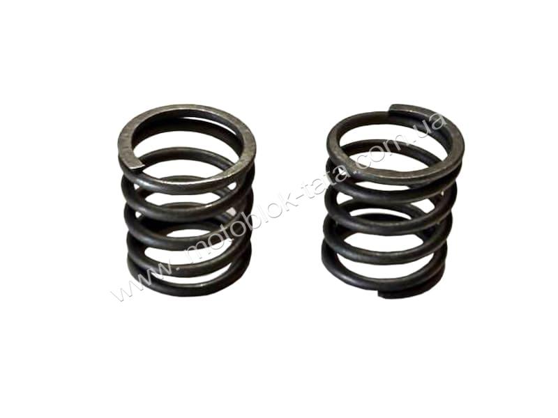 Пружини клапанів TT-AGRO-MOTO на бензиновий двигун 156F генератора GN 1,2 KW