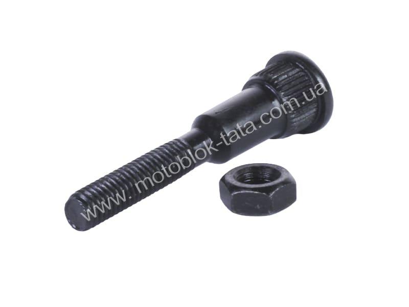 Винт регулировочный вилки сцепления с гайкой TT AGRO MOTO MFC на дизельный мотоблок, L - 6 5мм, резьба - М8