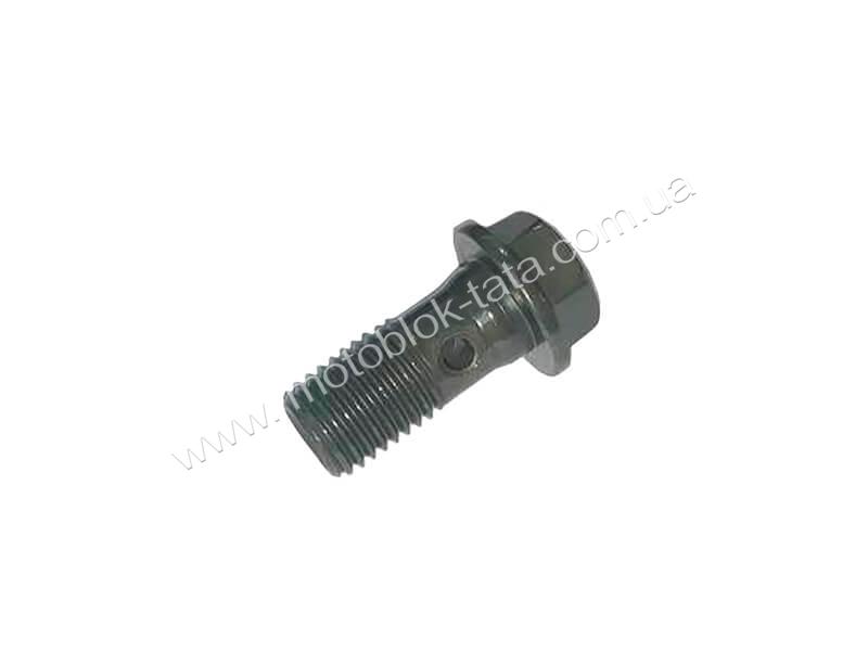 Болт штуцерный ТНВД TT AGRO MOTO на дизельный двигатель 180N-195N, М10