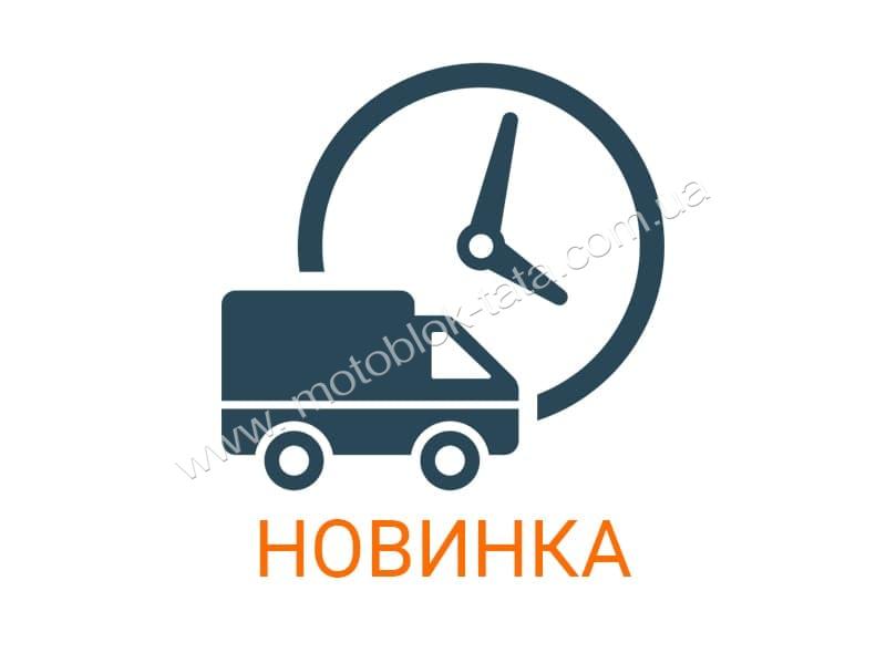 Клапани YBX на бензиновий двигун 50CC4T, к-т на 2 клапани