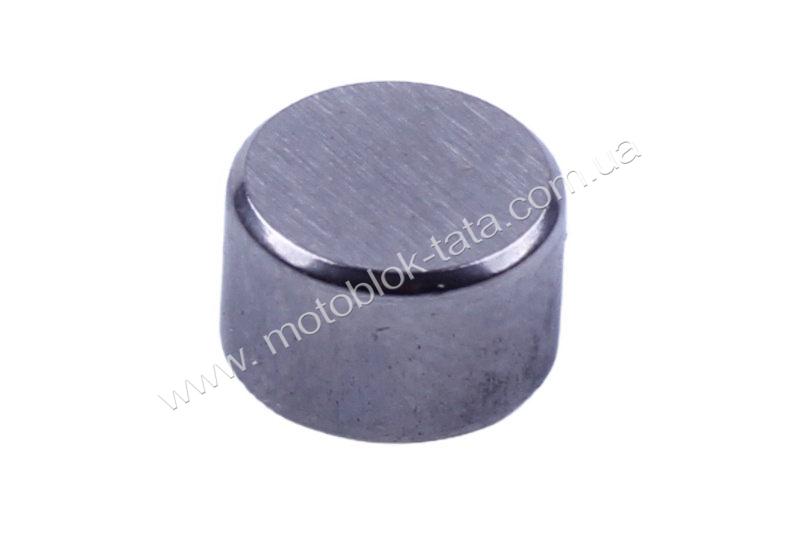 Компенсатор теплового клапана TT AGRO MOTO на бензиновий двигун 177F, 1 шт.